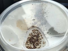 绵云冷翠咖啡-星巴克(嘉善太平洋广场店)