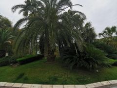 -千岛湖希尔顿休闲艇俱乐部