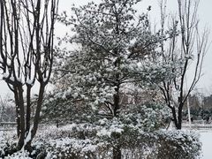 -西二旗(地铁站)