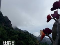 -三清山风景名胜区