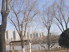 -燕郊植物园