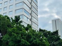 -黄沙码头