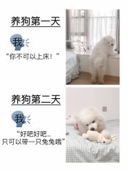 -Oasis Beauty水磨坊科技美肤中心