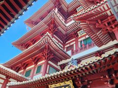 -新加坡佛牙寺龙华院