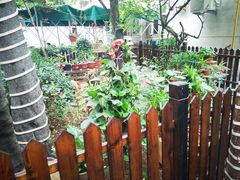 -正宗天津烧麦馆(柳州路店)