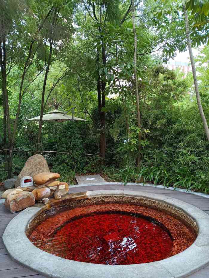 佰翔圆山花泉温泉-"上次住得太匆忙,没泡成的温泉76这次泡了.