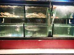 水产区-许家菜(望江店)
