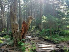 -芦芽山旅游度假区