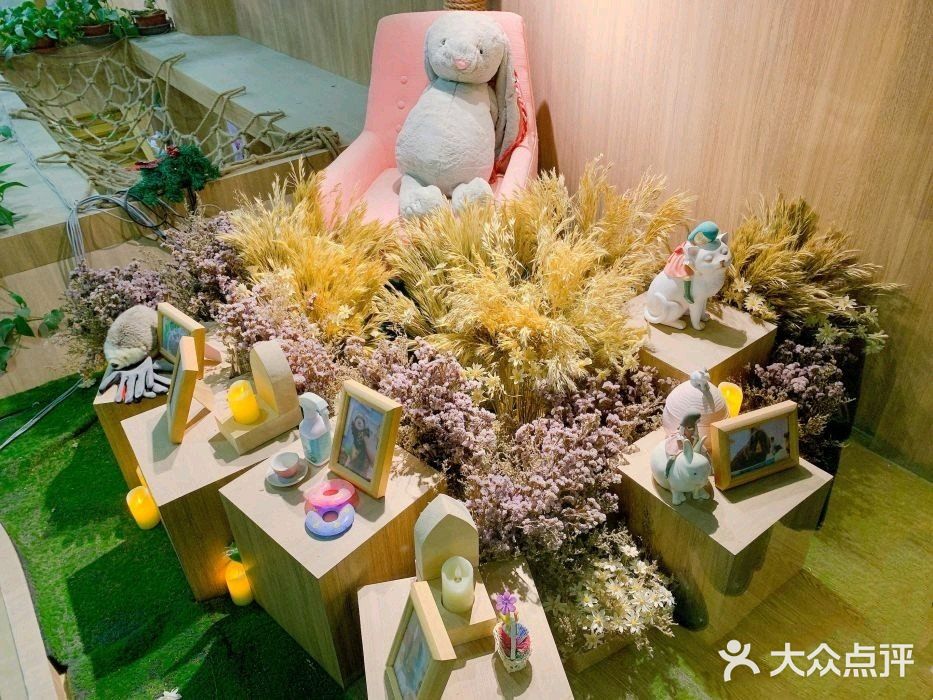 魔都遛娃新选择[调皮]室内动物园你心动吗[加油]