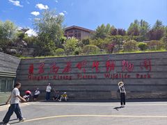 -青藏高原野生动物园