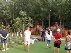 -北京梧桐树双语幼儿园
