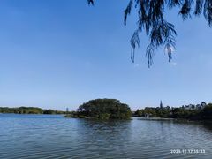 -海珠湖公园