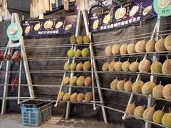 -都念榴莲·城市榴莲