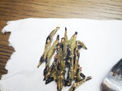 -Wagas沃歌斯(环贸店)