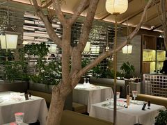 -桂满陇·海市蜃楼·黑金(国金店)