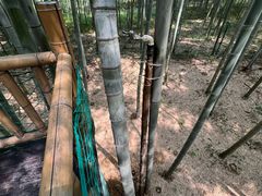 -陶祖圣境风景区