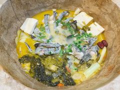 蒸汽石锅鱼-云中鱼蒸汽石锅鱼(浦东食品城店)