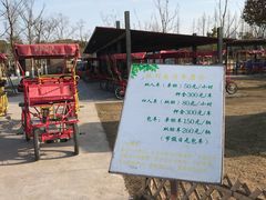 景点-上海长兴岛郊野公园