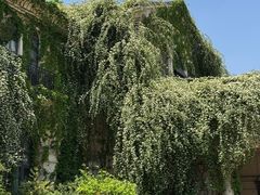 -府河摄影公园