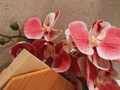 -峨嵋酒家 南北川菜 优选烤鸭(广渠路店)