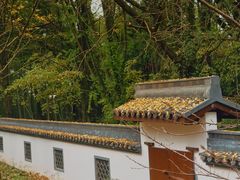 -西湖风景区十里琅珰-五云山