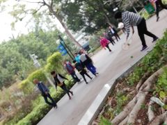 -晓港公园