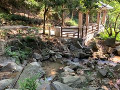 -火炉山森林公园