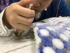 -仁普宠物诊所(住友昌盛新苑店)