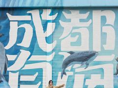 -海合安成都极地海洋公园