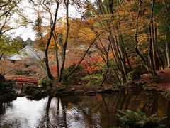 -醍醐寺