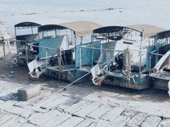 -海堤纪念公园
