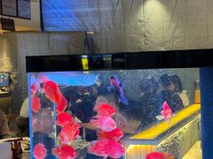 -五丁桥光头香辣蟹(望江橡树林店)
