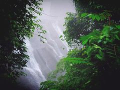 -溪口-滕头旅游景区