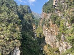 -寂照庵