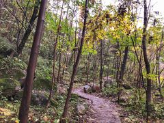 -青峰峡国家森林公园