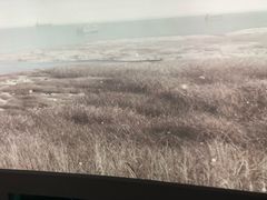 -上海长江河口科技馆