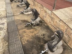 -碧海金沙