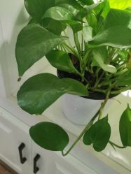 -壹加壹医疗美容·轻医美·美容外科