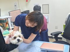 -美联众合动物医院·24h转诊中心