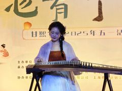 -南京市民俗博物馆(甘熙故居)