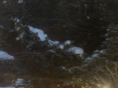 -汉拿山温泉度假酒店