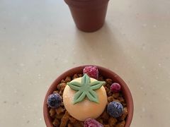-哈根达斯(绍兴银泰店)