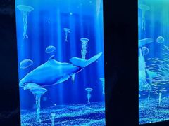 -深圳独角兽星空艺术馆
