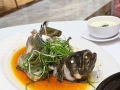 清蒸龙趸-稻香酒家·35年老字号(侨光店)