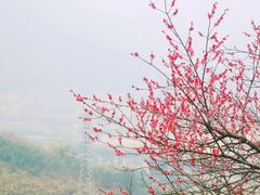 -蒋氏故居