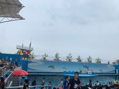 -秦皇岛新澳海底世界