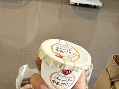 -关西国际机场直营免税店