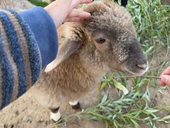 -鄂尔多斯野生动物园