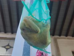 -小陆莲花蟹园农家乐(莲花岛店)