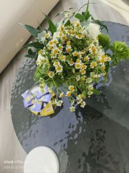 -HEYAN荷妍专业脱毛连锁机构